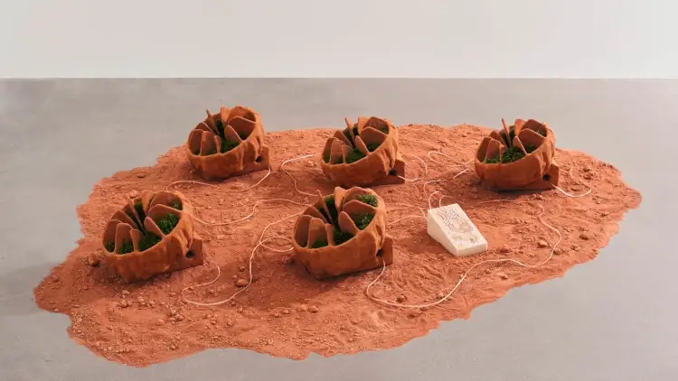 Parabolic Photon vessel